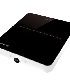 Bếp từ EU-T197