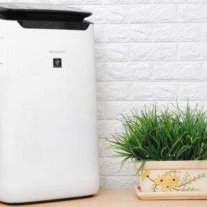 Máy lọc không khí Sharp FP-J60E-W 38W