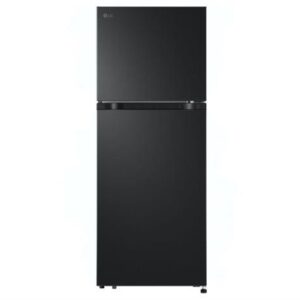 Tủ lạnh LG Inverter 217 lít LTB21BLMI