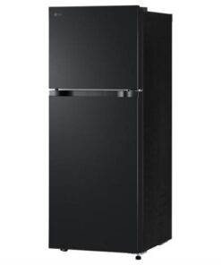 Tủ lạnh LG Inverter 217 lít LTB21BLMI - Ảnh 2