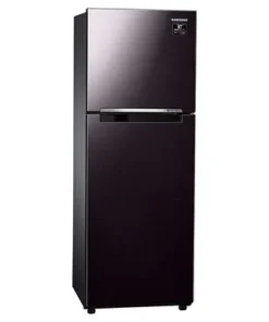 Alternative view of Tủ lạnh Samsung Inverter 236 lít RT22M4032BY/SV