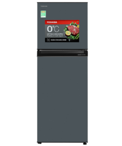 Alternative view of Tủ lạnh Toshiba Inverter 253 lít GR-RT329WE-PMV(52)