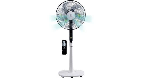 Quạt cây Hawonkoo FAH-011 5 cánh 50W màu đen có điều khiển từ xa