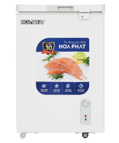 Tủ đông mini Hòa Phát HPF AD6107 107 lít
